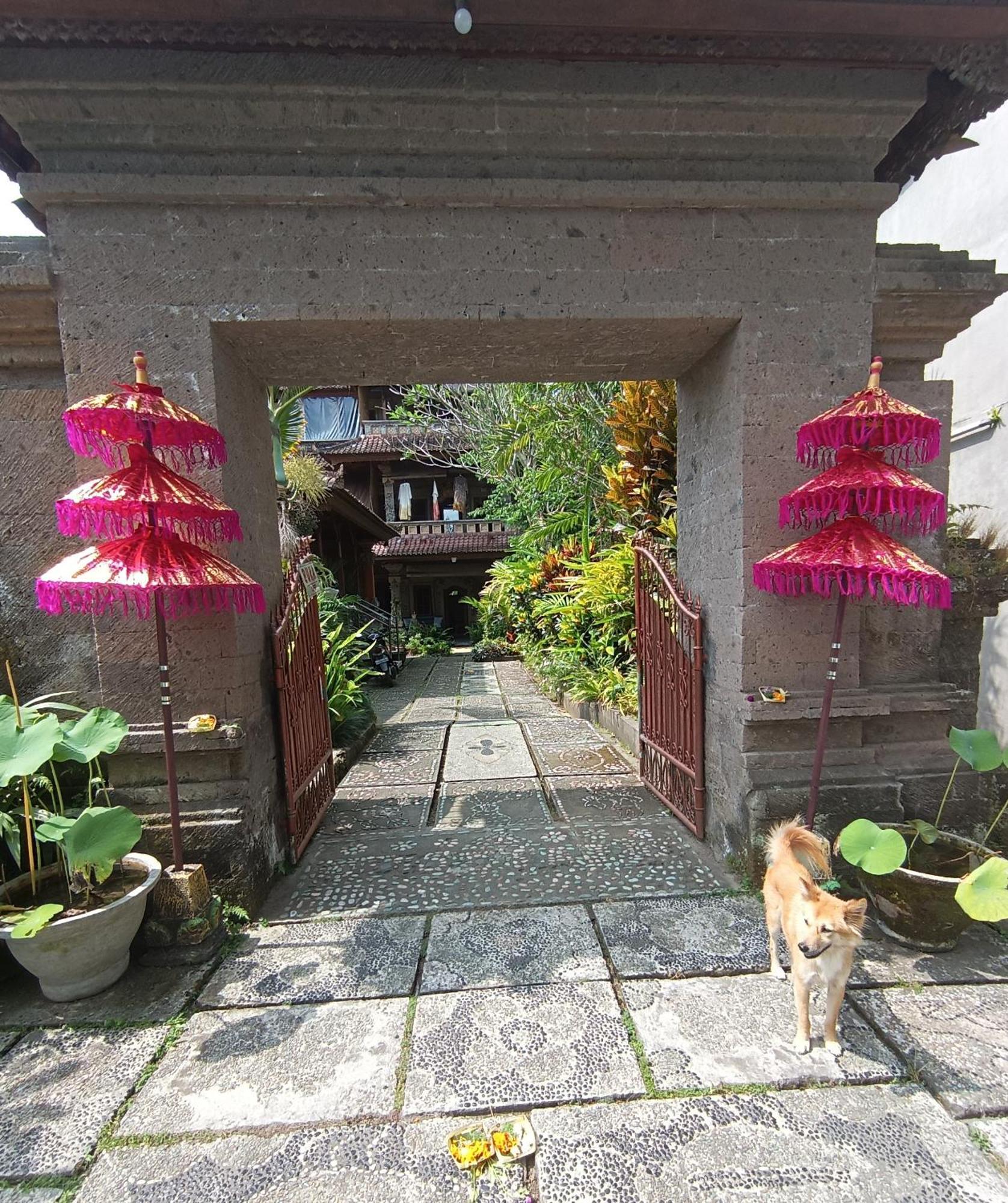 Hotel Mandala Blu Wellness Ubud Zewnętrze zdjęcie