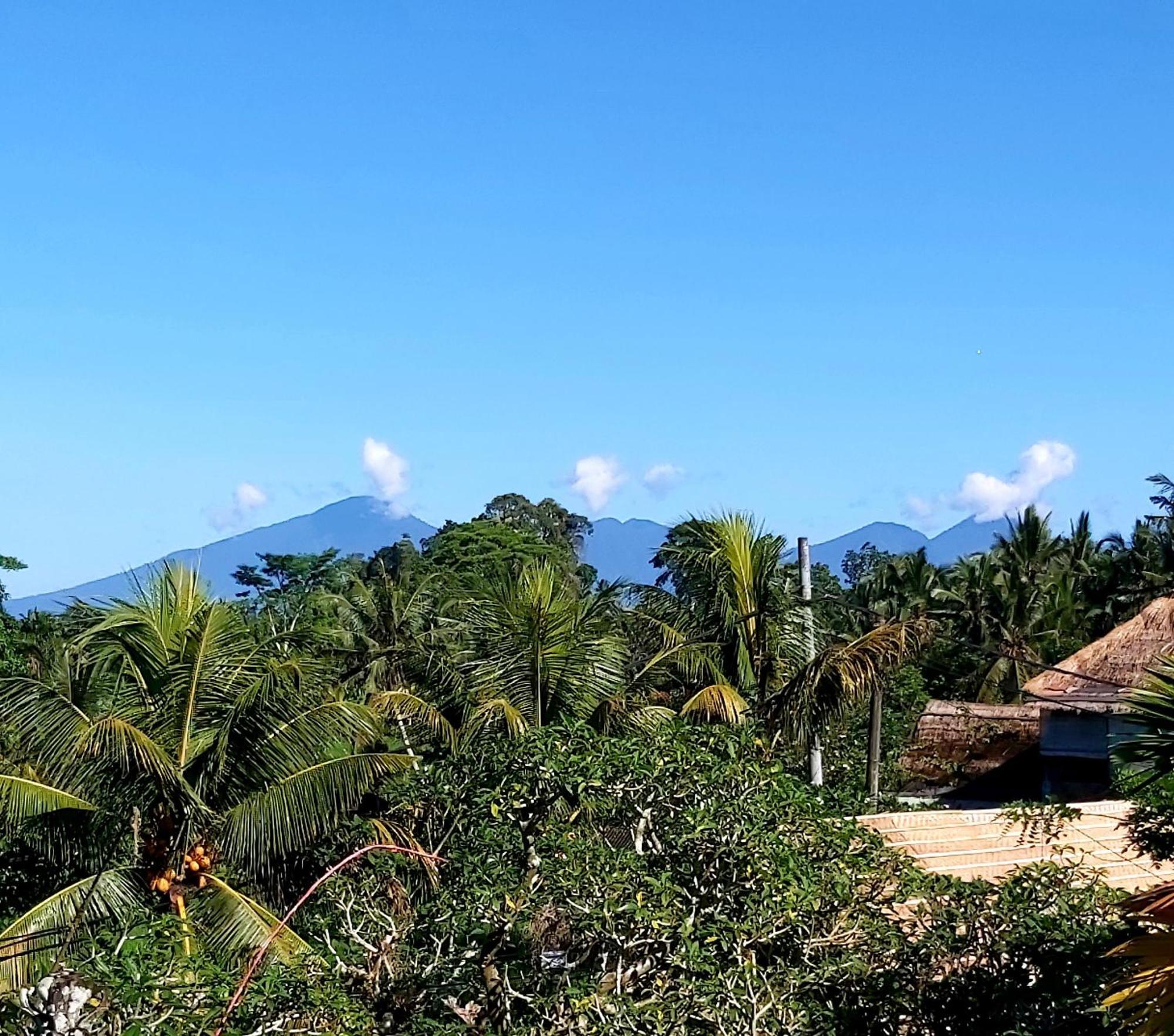 Hotel Mandala Blu Wellness Ubud Zewnętrze zdjęcie